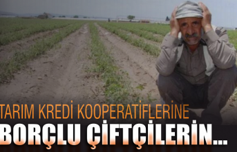 Tarım Kredi Kooperatiflerine borçlu çiftçilerin…  Kredi borçlarını yapılandırma uzatıldı