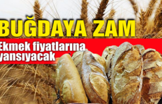 Buğdaya zam: Ekmek fiyatlarına yansıyacak!